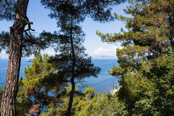 Krásná Letní Krajina Pohled Les Skály Mořské Pobřeží Turistika Malebných — Stock fotografie