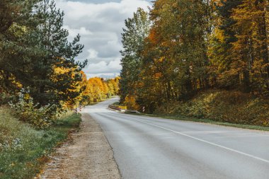 Sonbahar ormanında boş asfalt yol. Sonbahar arkaplanı. Bulutlar.