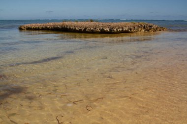 Güneşli bir günde denizin ortasında kumsalın kıyısında kayalık bir oluşum.