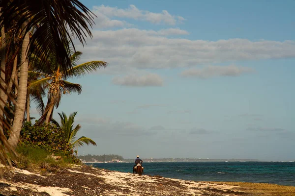 Siyah Adam Beyaz Bir Kumsalda Ata Biniyor Deniz Yosunu Palmiye — Stok fotoğraf