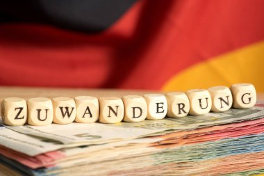 Almanya, Euro bono ve Göçmenlik bayrağı