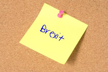 Bir PIN Yönetim Kurulu ve Brexit üzerine bir Not