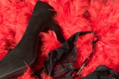 High heels and lingerie on a pad on red feathers