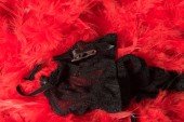 Lingerie on a base of red feathers