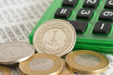 Bir elektronik tablo, hesap makinesi ve Polonya Zlotisi Pln paralar