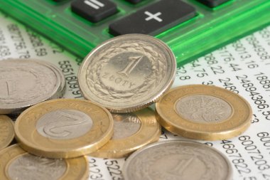 Bir elektronik tablo, hesap makinesi ve Polonya Zlotisi Pln paralar