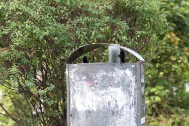 Genel bir sokakta bir çöp kutusu