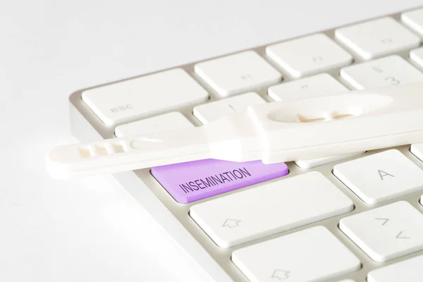A computer, pregnancy test and button insemination