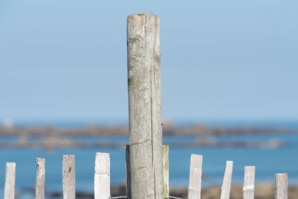 Una Recinzione Sulla Spiaggia Qualche Parte Vicino Mare — Foto Stock