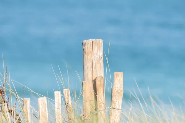 Uma Cerca Praia — Fotografia de Stock