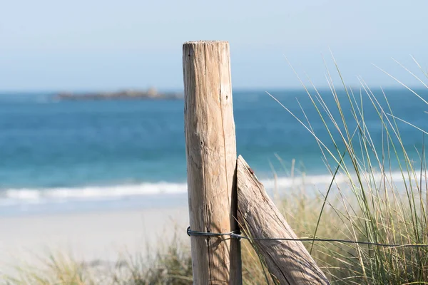 Una Recinzione Sulla Spiaggia — Foto Stock