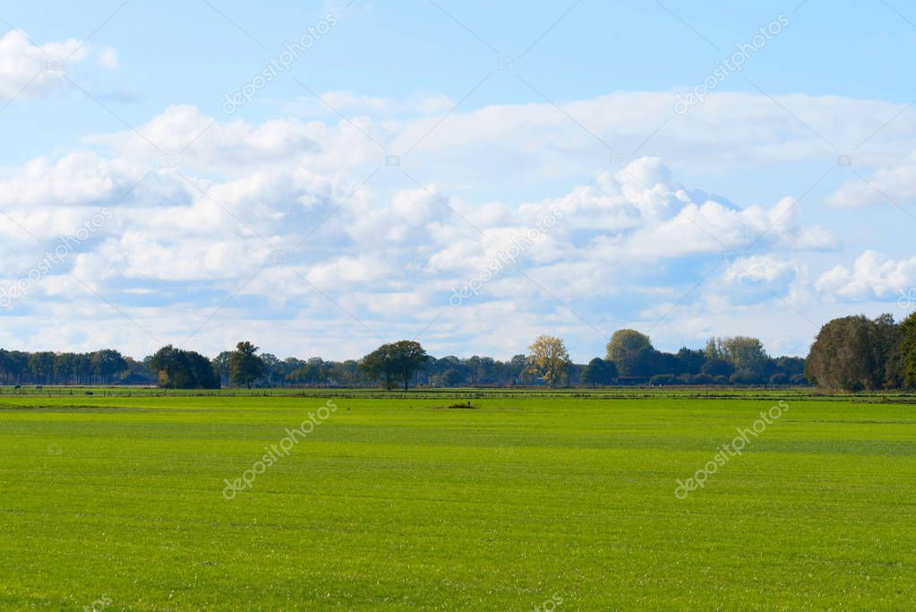 A view of a wide meadow