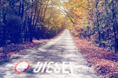 Ormanda bir yol ve dizel arabalar için sürüş yasağı.