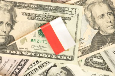 Polonya bayrağı ve arka planda dolar banknotları