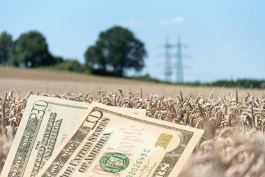A field, agriculture and dollar banknotes clipart