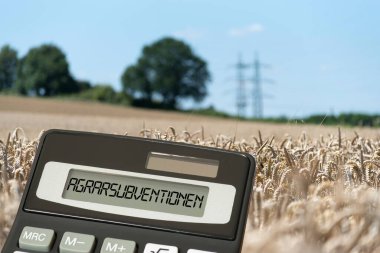 Fields, calculators and agricultural subsidies in Europe clipart