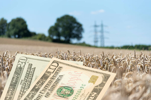 A field, agriculture and dollar banknotes