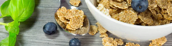 Tazón Cereal Para Desayuno — Foto de Stock