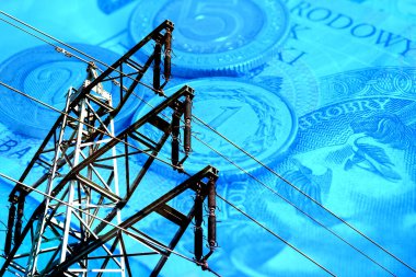 Bir elektrik hattı ve para Polonya Zloti PLN