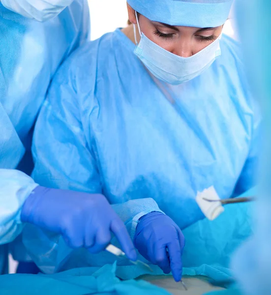 Молода хірургічна команда в операційній — стокове фото