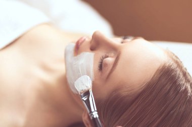 Spa yüz maskesi uygulaması. Spa güzelliği organik yüz maskesi uygulaması.