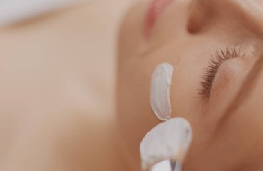 Spa yüz maskesi uygulaması. Spa güzelliği organik yüz maskesi uygulaması.