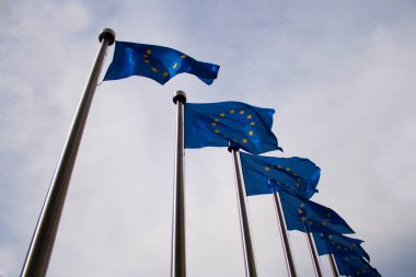 Avrupa bayrakları, eu konsepti