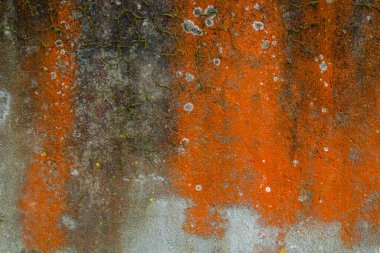 Rutubetli eski kirli duvar