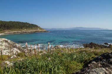 Rias Baixas deniz körfezi Pontevedra, Galiçya, İspanya