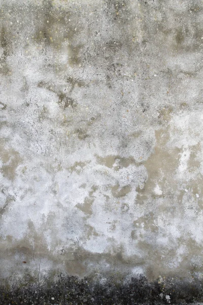 Old concrete wall with damp, grungy background or texture