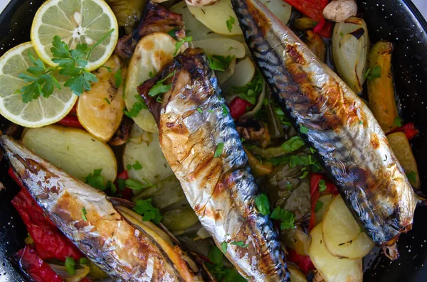 Delicious Oven Roasted Mackerel Fish Dish — Stock Photo, Image
