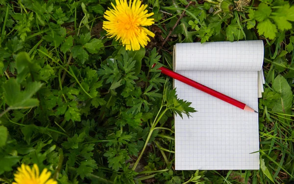 Notizblock Und Bleistift Auf Dem Grünen Gras — Stockfoto