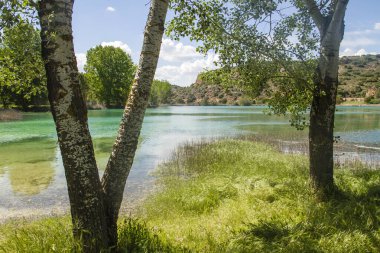 İspanya 'daki Lagunas de Ruidera Doğal Parkı' nda yeşil bahar manzarası