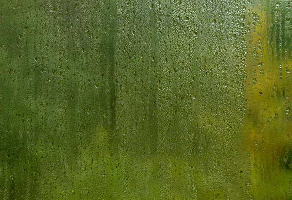 窓の結露液滴 緑の背景 — ストック写真