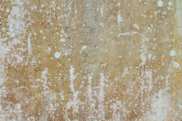 Pared Vieja Con Líquenes Textura Grunge — Foto de Stock