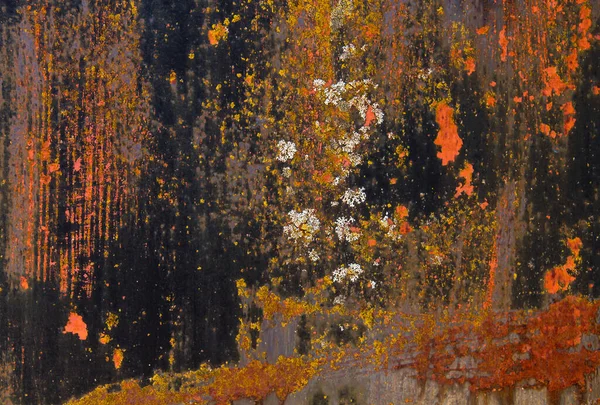 Vieille Plaque Métallique Corrodée Avec Lichens Peinture Peler — Photo