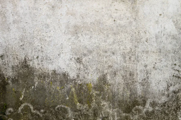 Old White Wall Damp Peeling Paint Grunge Background Texture — Stock Photo, Image