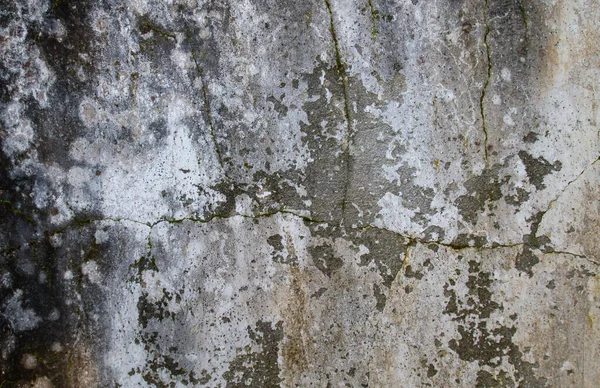 Oude Cement Muur Grunge Achtergrond Textuur — Stockfoto