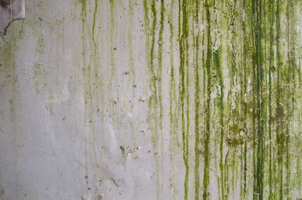 Alter Wall Grunge Hintergrund Oder Textur — Stockfoto