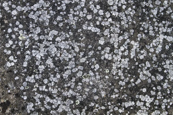 Oude Stenen Muur Met Korstmossen Abstracte Achtergrond Textuur — Stockfoto