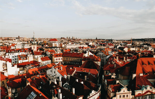 Red roofs of Prague, Czech Republic. Top view of the houses of Prague. View for postcards from Prague