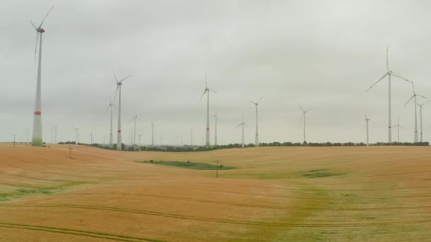 ERIAL:風力タービンは風の力で回転し、美しい黄色の農業分野で地球のための緑の生態学的方法で再生可能エネルギーを発生させます — ストック動画