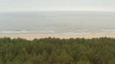 Arka planda Baltık Denizi Okyanusu Sahili ile Orman üzerinde Uçuş