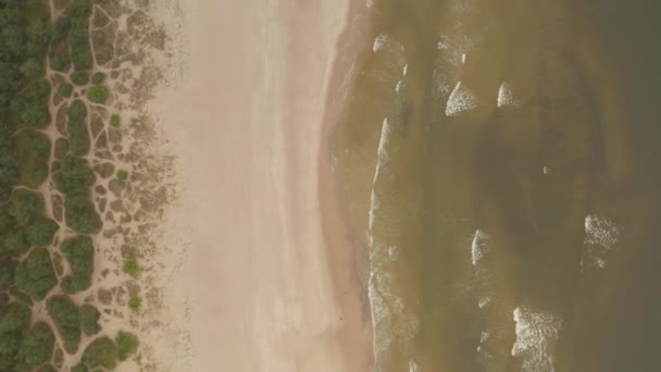 Generic Beach Overhead Aerial Shot of Person walking on the Beach in Nature — Stock Video