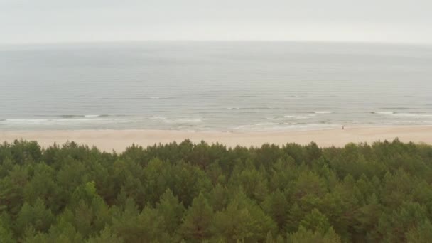 Полет над лесом на фоне пляжа Балтийского моря — стоковое видео