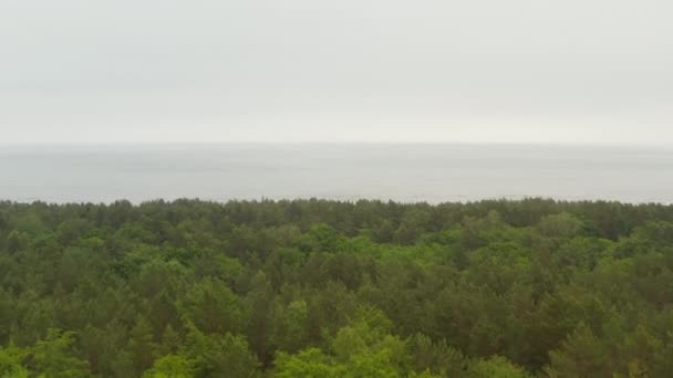 Vuelo sobre el bosque con el mar Báltico en segundo plano — Vídeo de stock