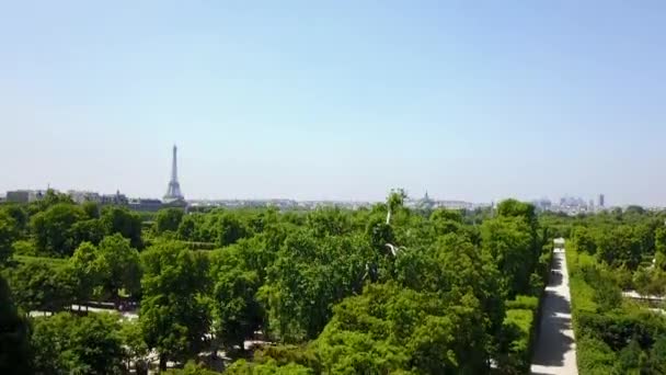 AERIAL: Bellissimo paesaggio urbano di Parigi che si svela dietro gli alberi sotto il sole estivo — Video Stock