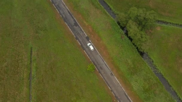 Tepeden Başa Havadan Elektrikli Araç Görünümü Çevresindeki Yeşil Çimen ile çevrili küçük bir yolda doğadan geçiyor — Stok video