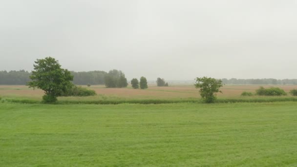 Flight over Rich Green Field with Trees in Germany on Foggy Overcast Day — Stock Video