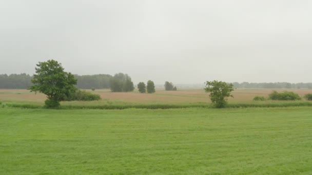 Πτήση πάνω από πλούσιο πράσινο πεδίο με δέντρα στη Γερμανία για ομίχλη συννεφιασμένη ημέρα — Αρχείο Βίντεο
